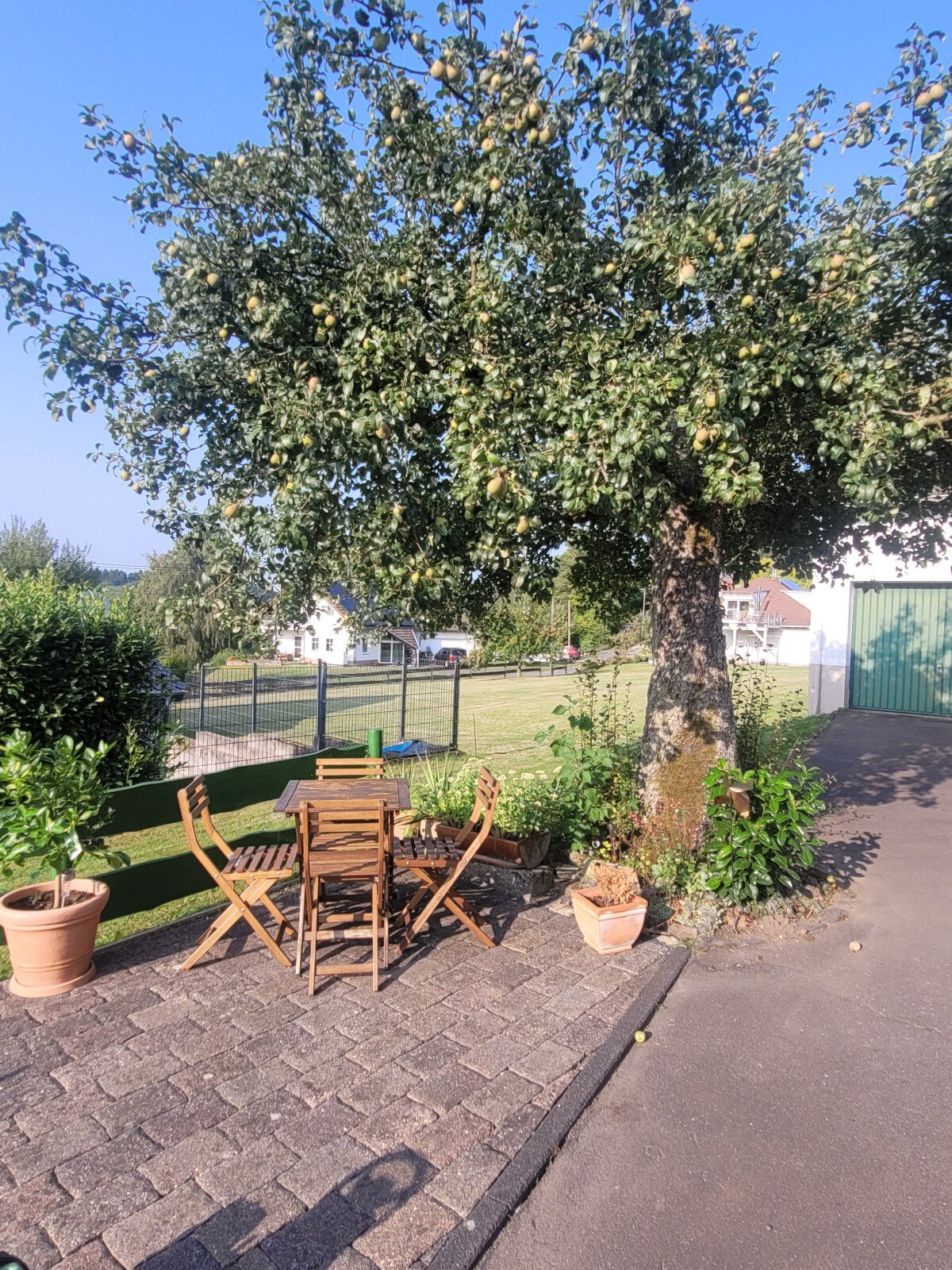 20250809_182648.jpg