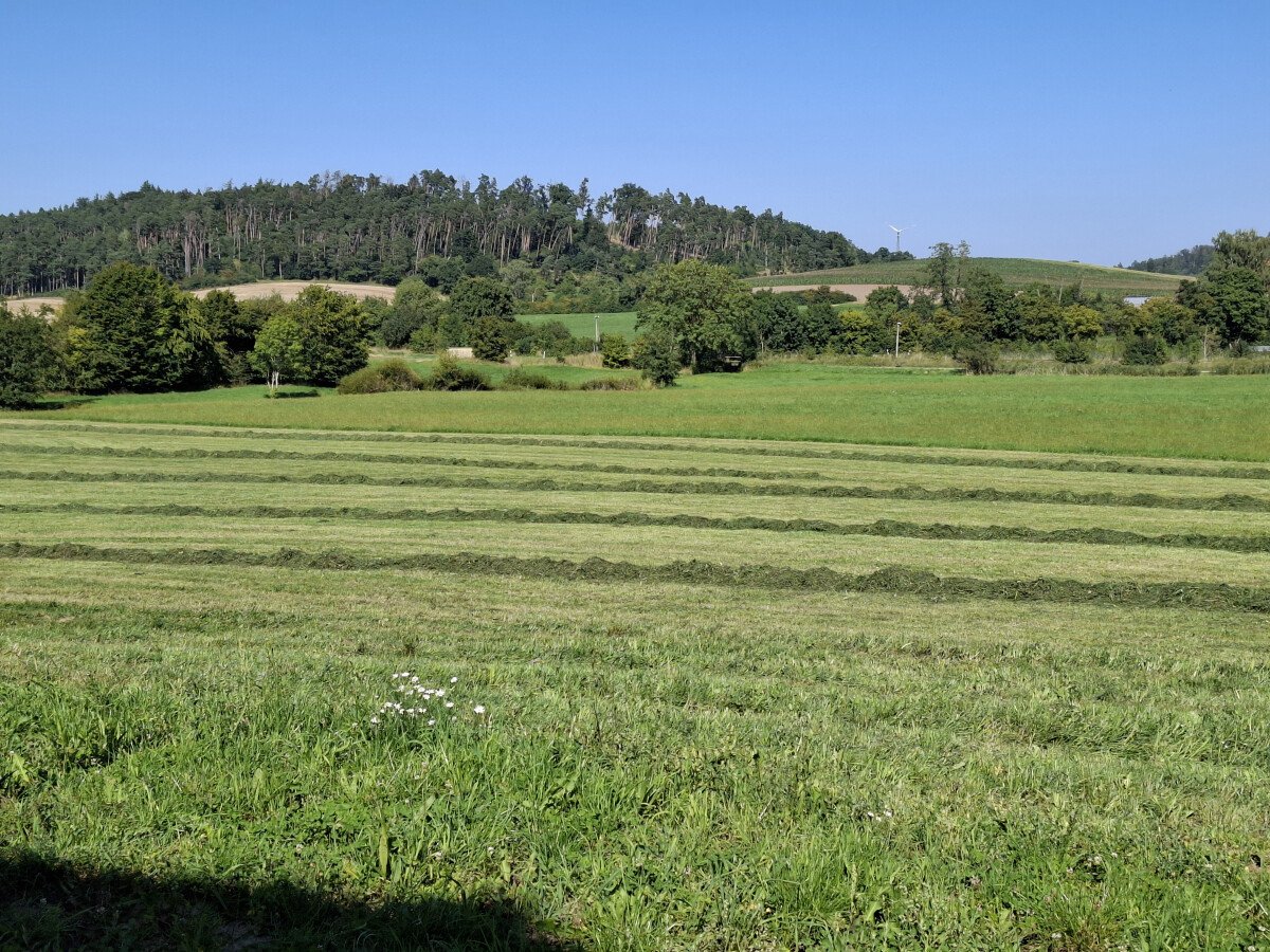 20250811_160931.jpg