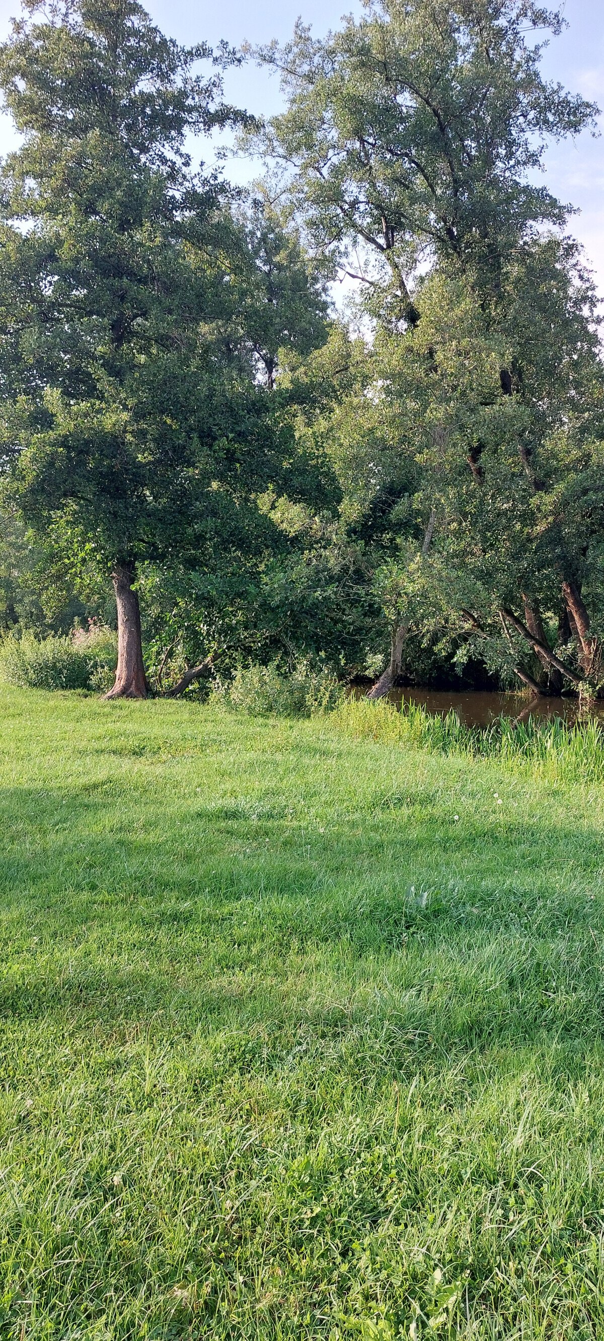 Blick auf den Bach