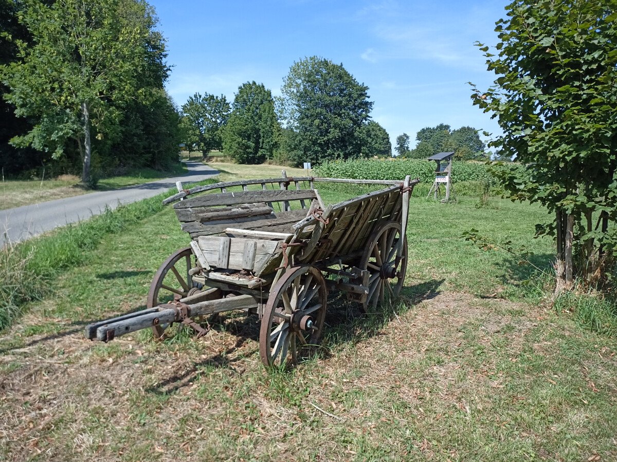 IMG_20250815_142826_359.jpg
