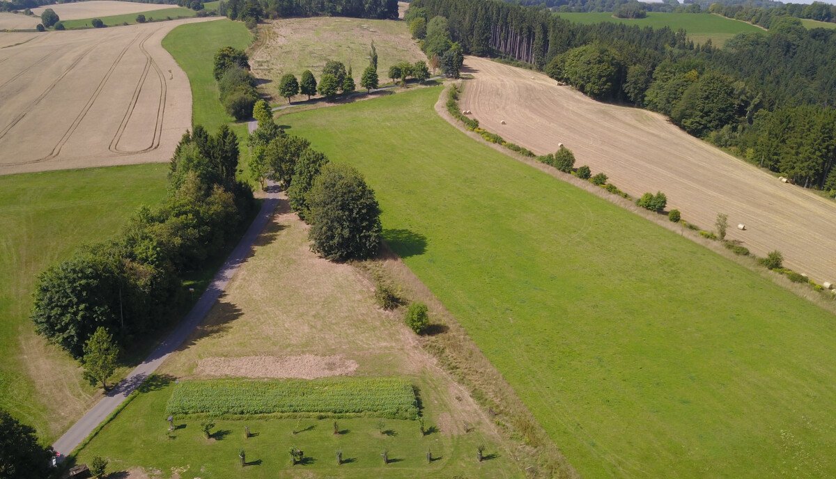 DJI_0094.JPG