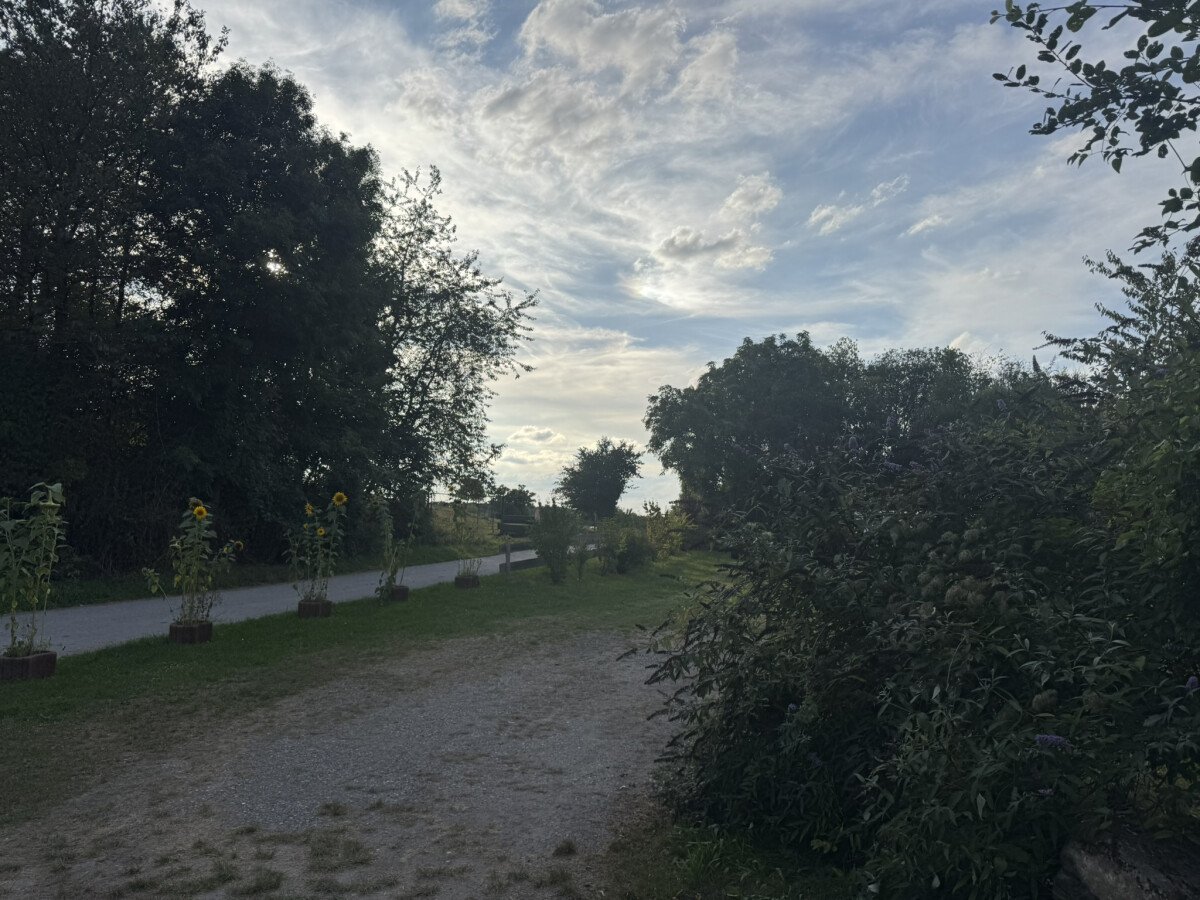 IMG_6124.JPEG