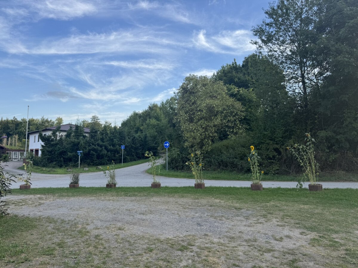 IMG_6128.JPEG