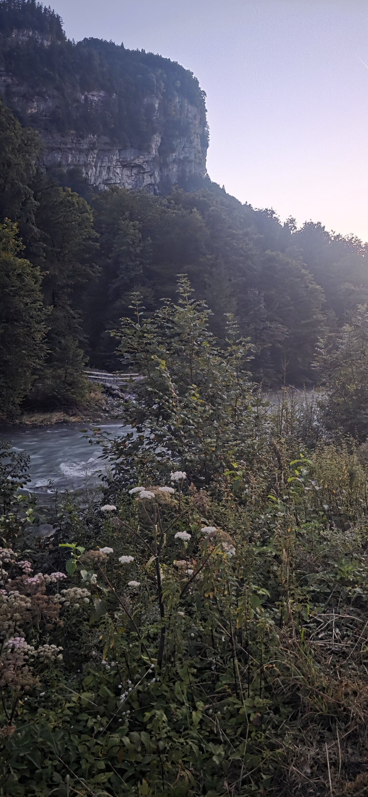 20250807_211629.jpg