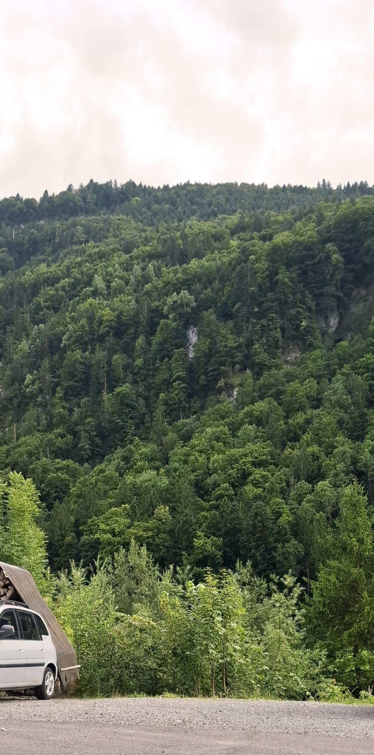 Stellplatz Muota.jpg