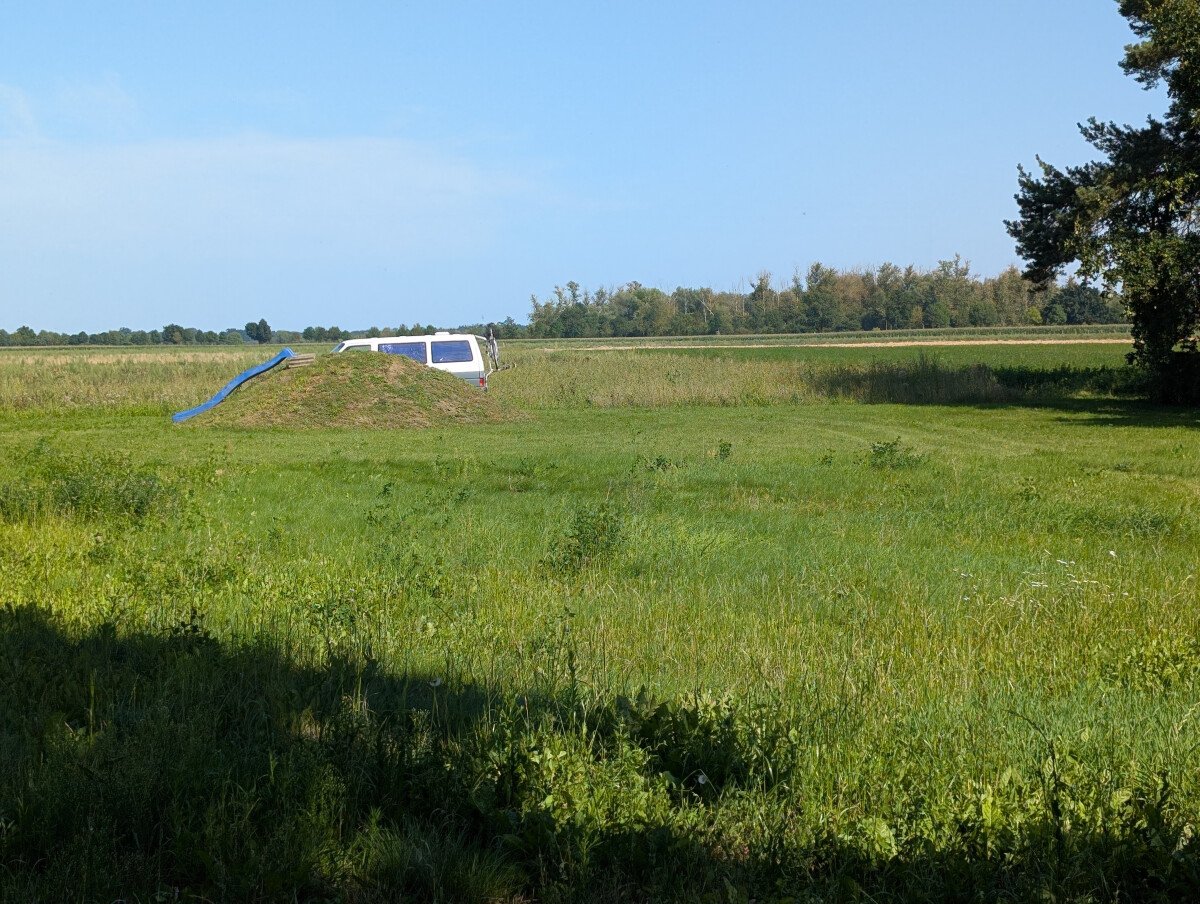 PXL_20250812_141911253.jpg