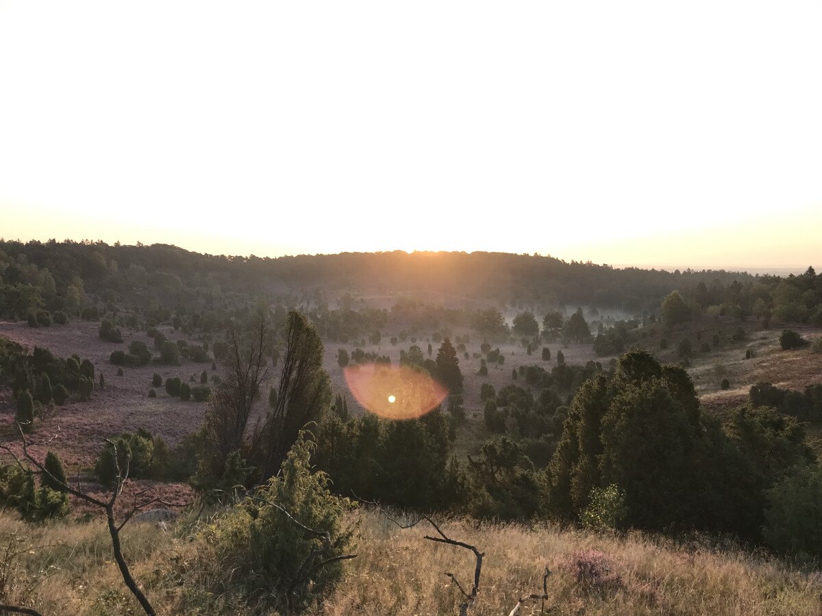 Totengrund Lüneburger Heide