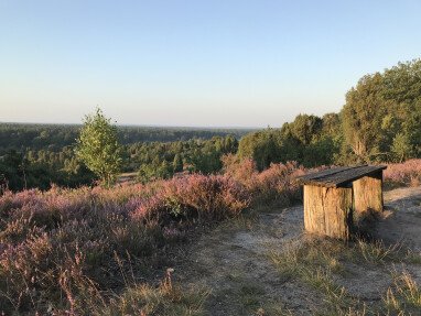Nähe Wilseder Berg