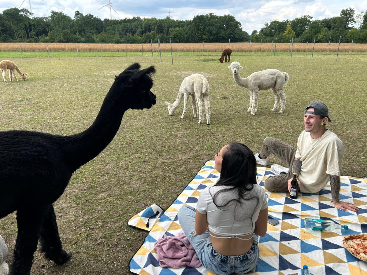 Picknick.jpeg