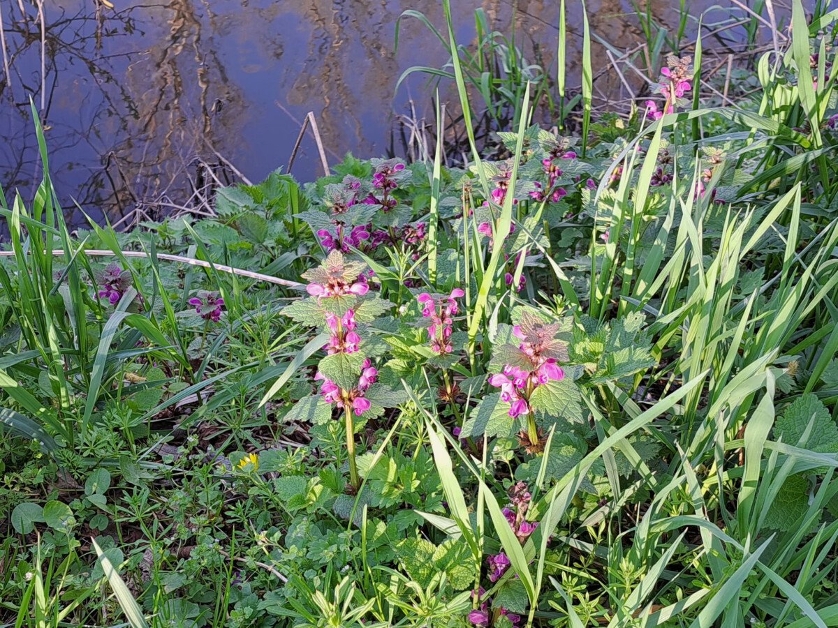 IMG-20250822-WA0047.jpg