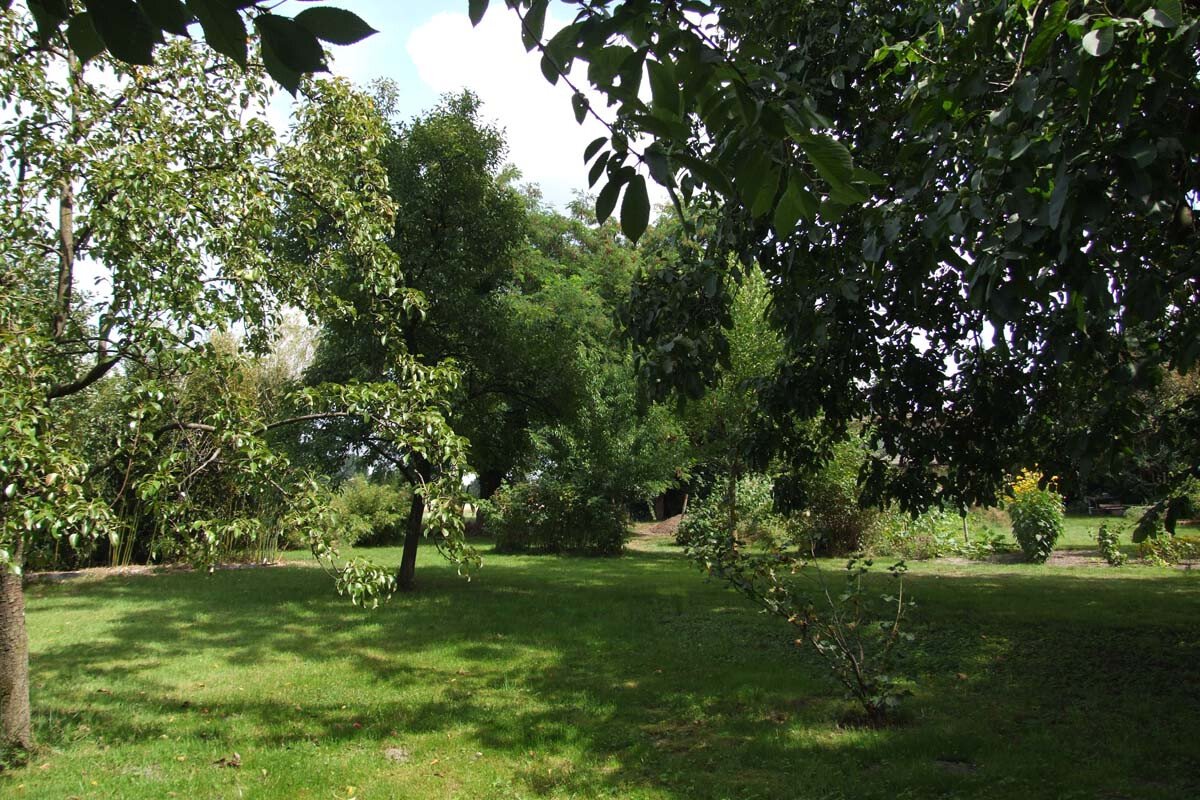 camp02.jpg