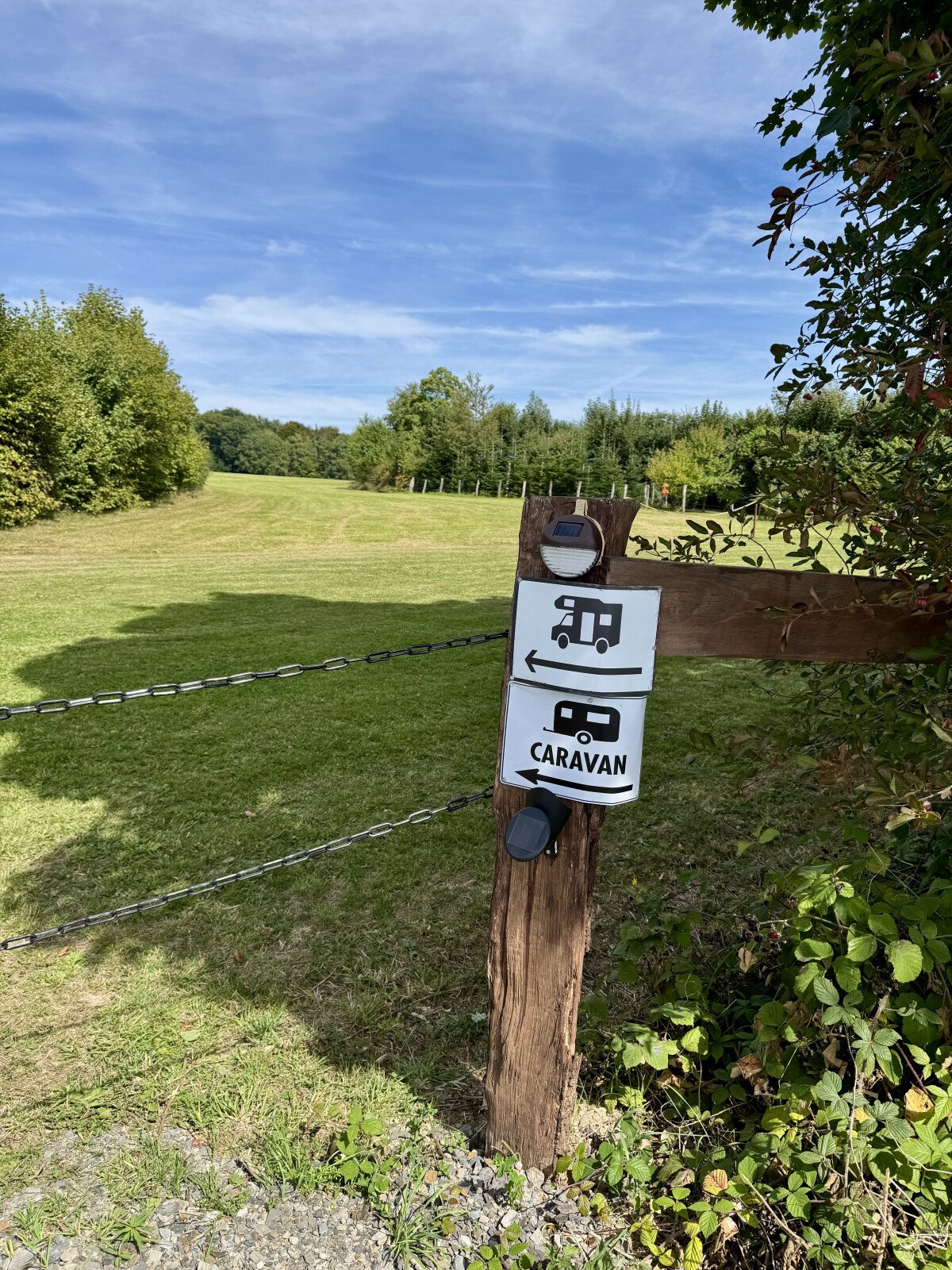 IMG_8082.jpeg