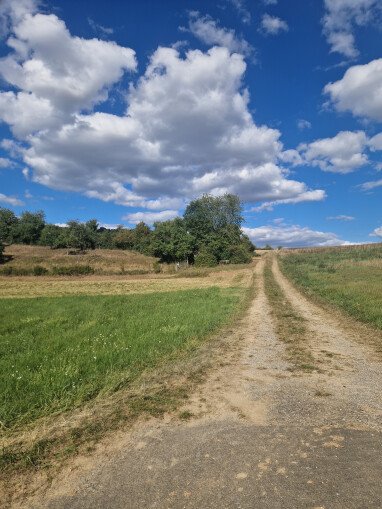 Aussicht 