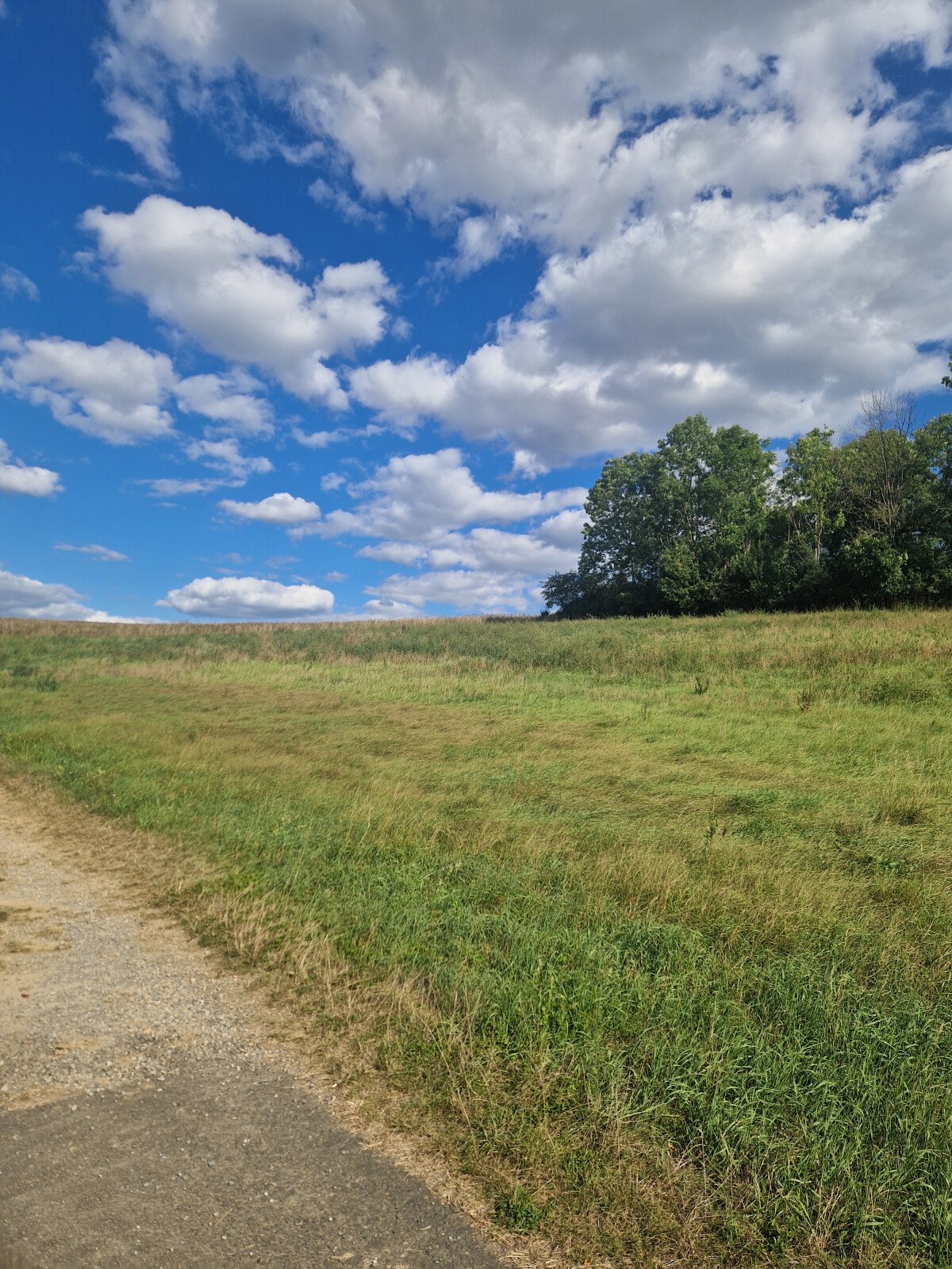 20250824_164700.jpg