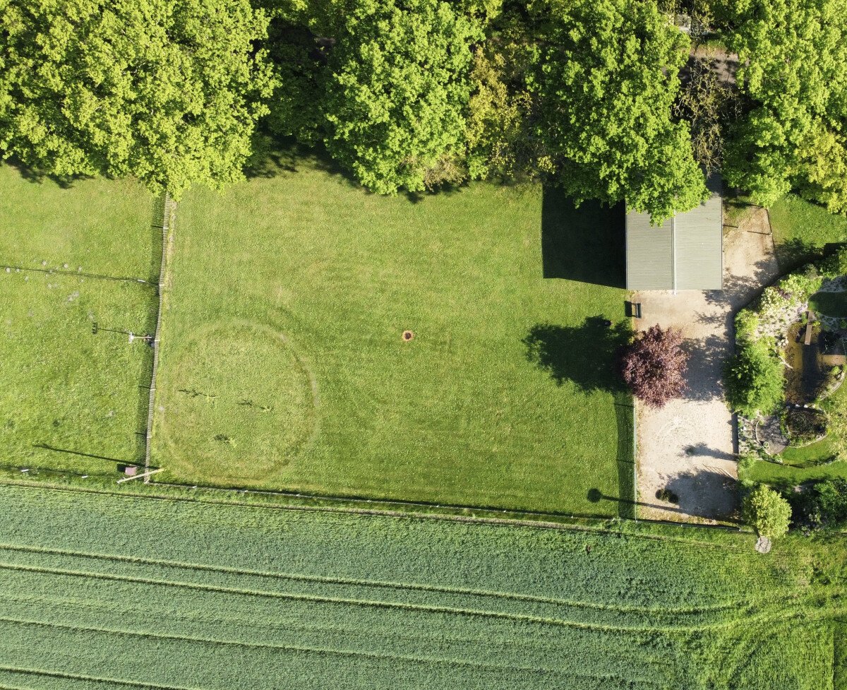 dji_fly_20240511_090252_349_1715411004914_photo_optimized.jpeg