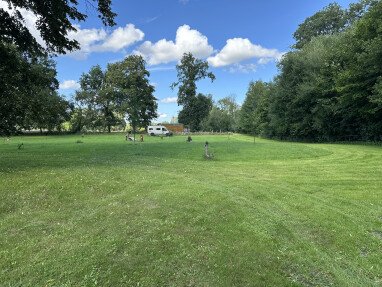 Blick auf die Wiese