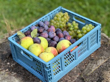 Am Obst darf sich gern gegen wertschätzende Spende bedient werden.
