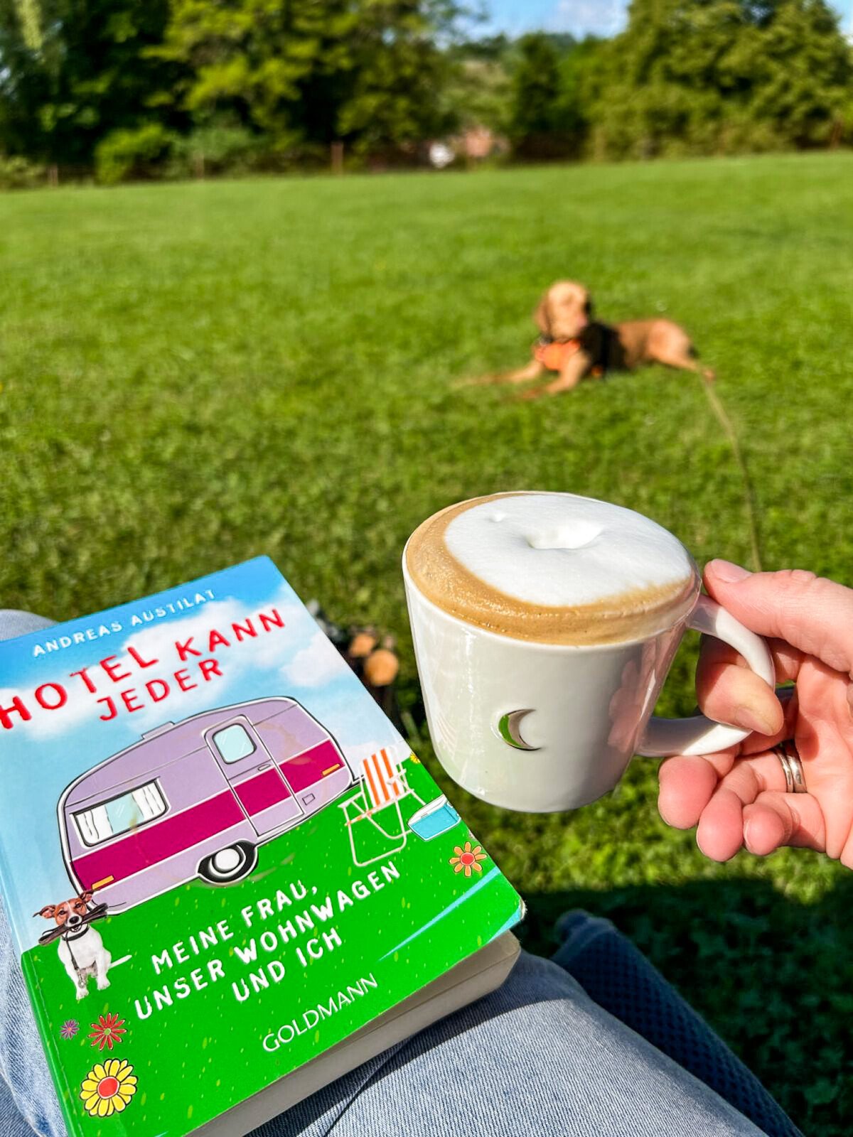 IMG-20250821-WA0005-3