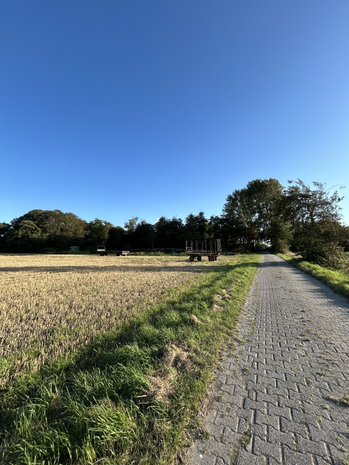 IMG_2623.jpeg