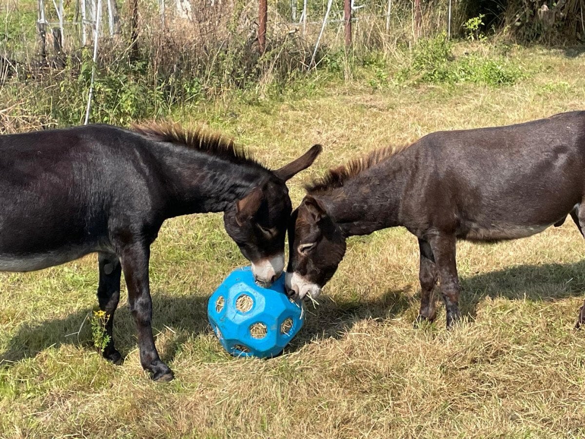 Felix und Hannes.jpg