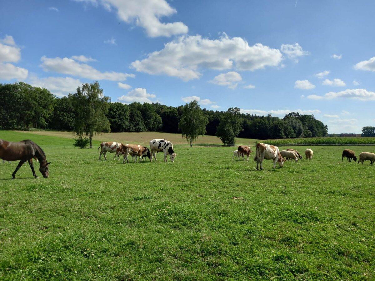 QFGH0399.JPG