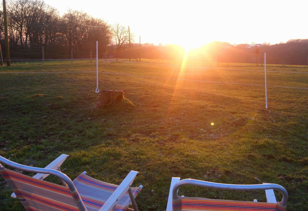 Sonnenuntergang Alpaca-Bilder 13.09.25.jpg