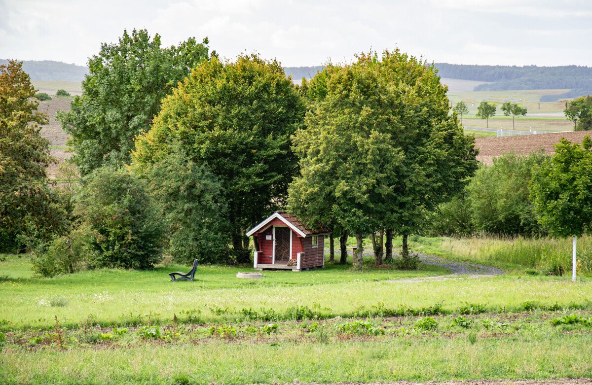 DSC_0003