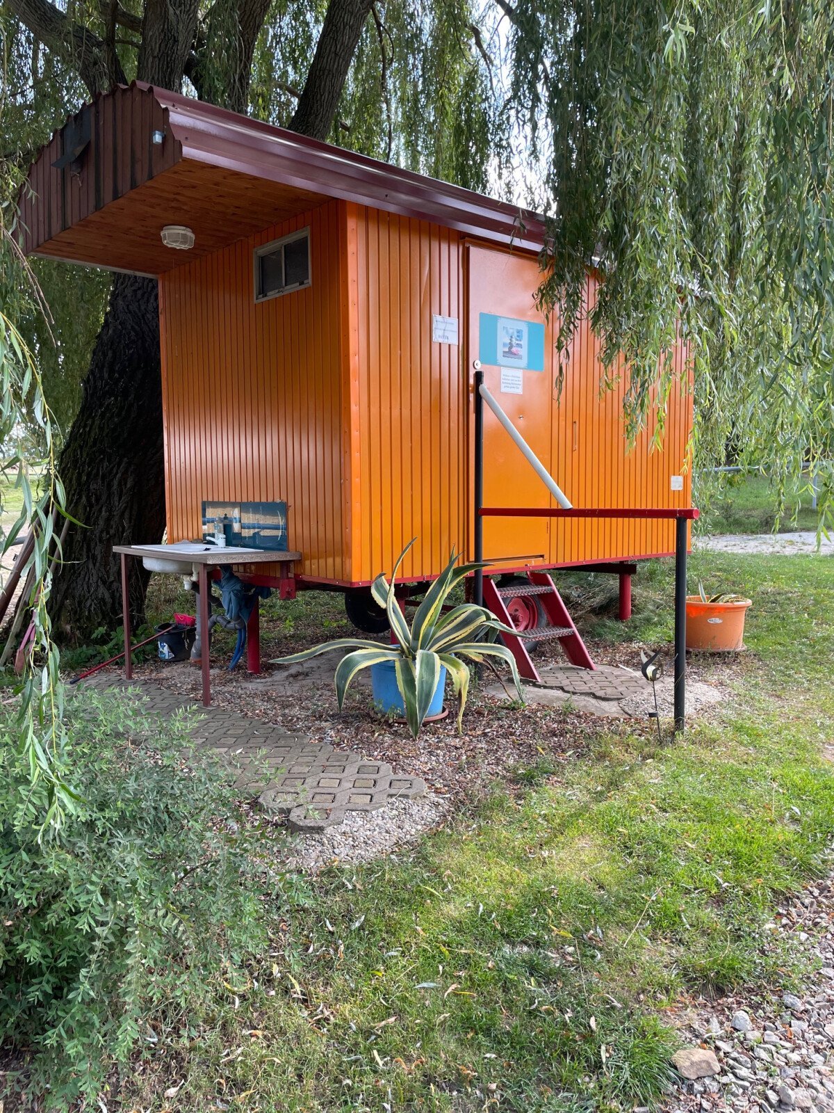 image6 (1)