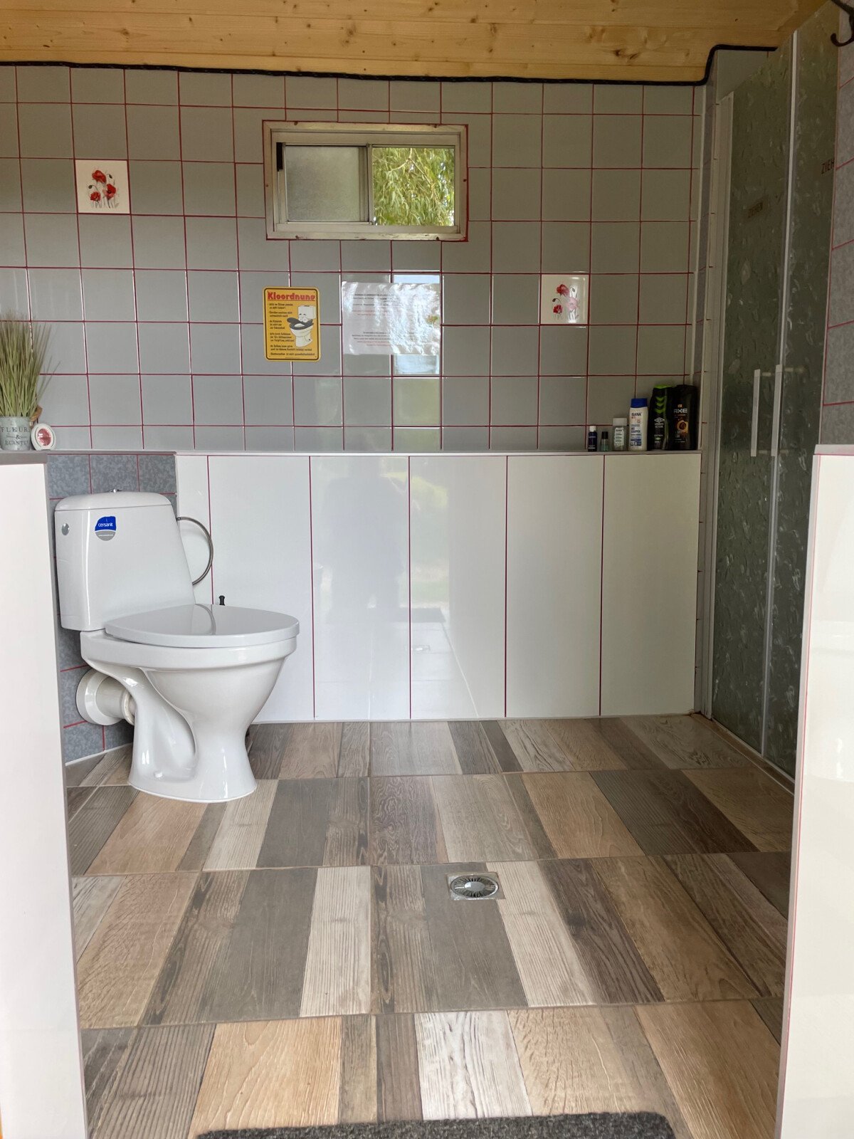 image5 (1)