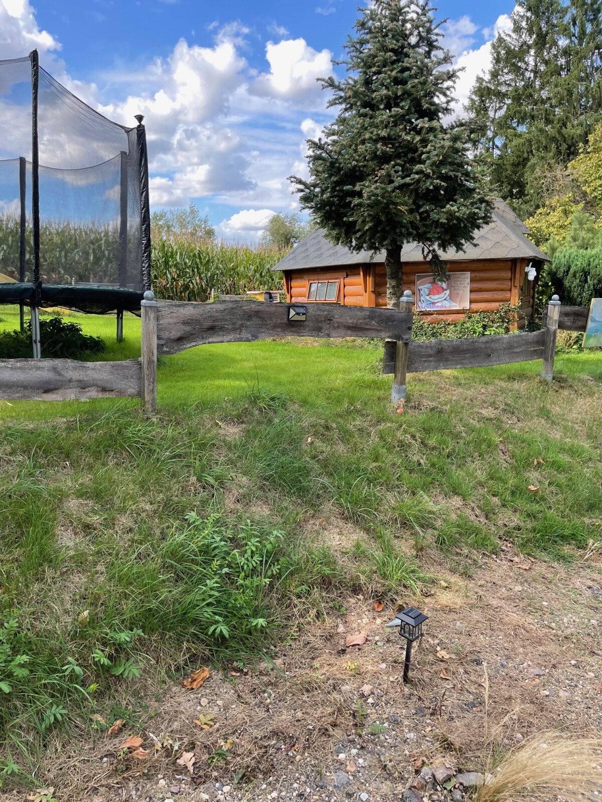 image3 (1)