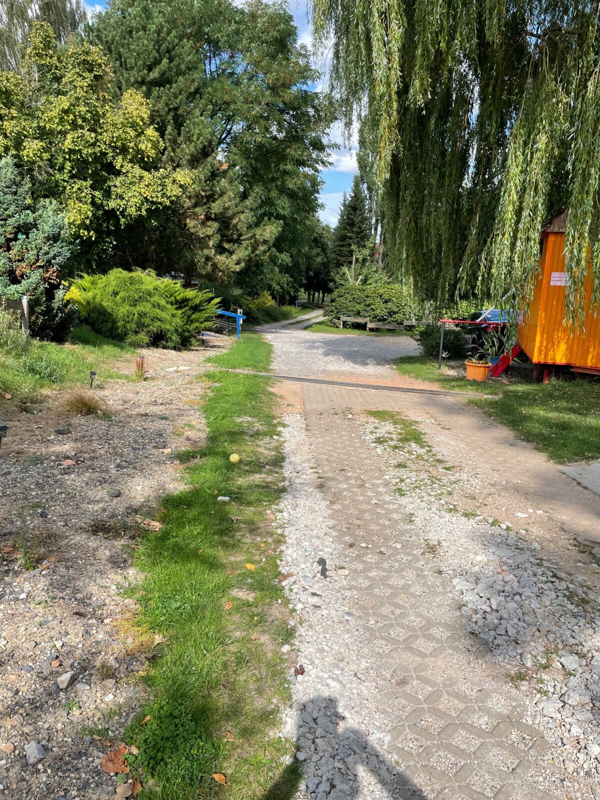 image2 (1)