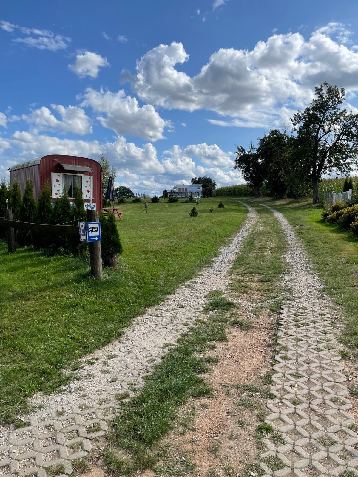image1 (1)