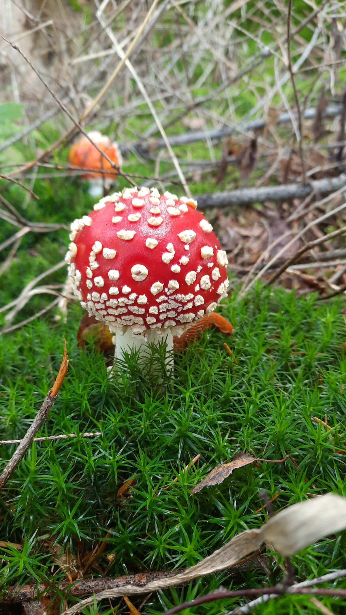 20220925_154108.jpg