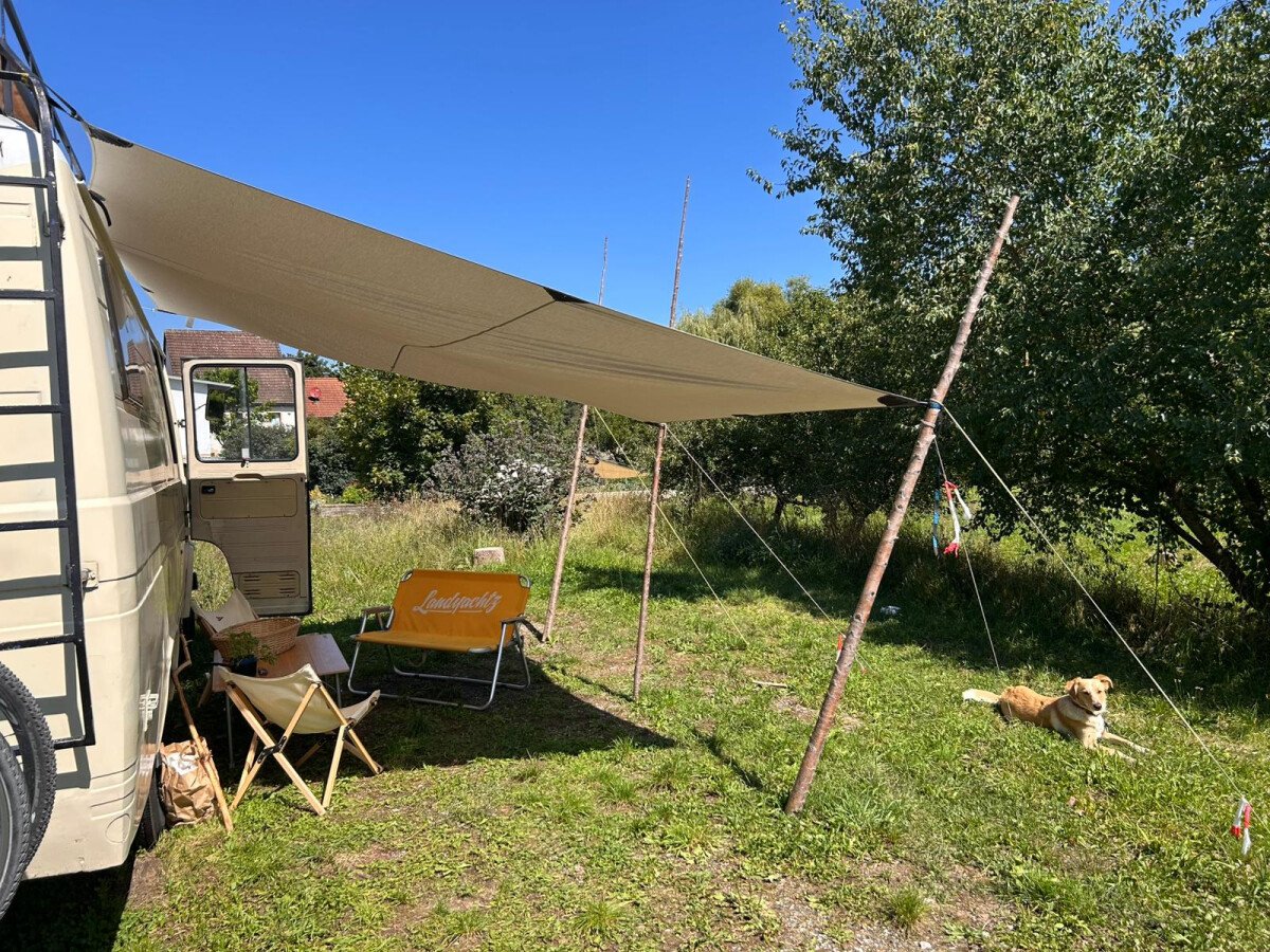 WhatsApp Image 2025-08-11 at 13.34.53.jpeg