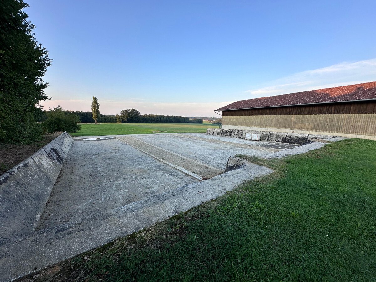 WhatsApp Bild 2025-10-07 um 14.45.19_5bc3ffc5.jpg