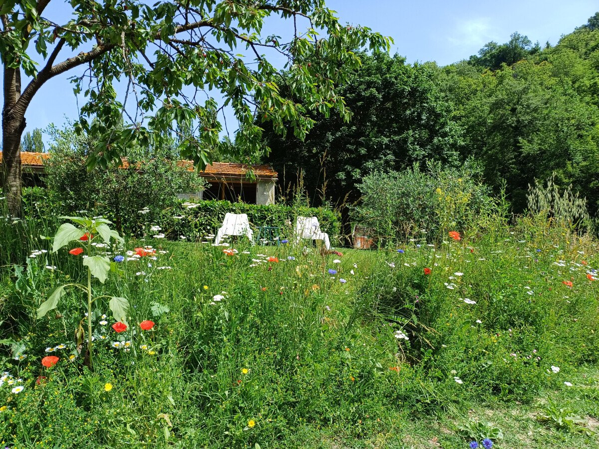 Terrain