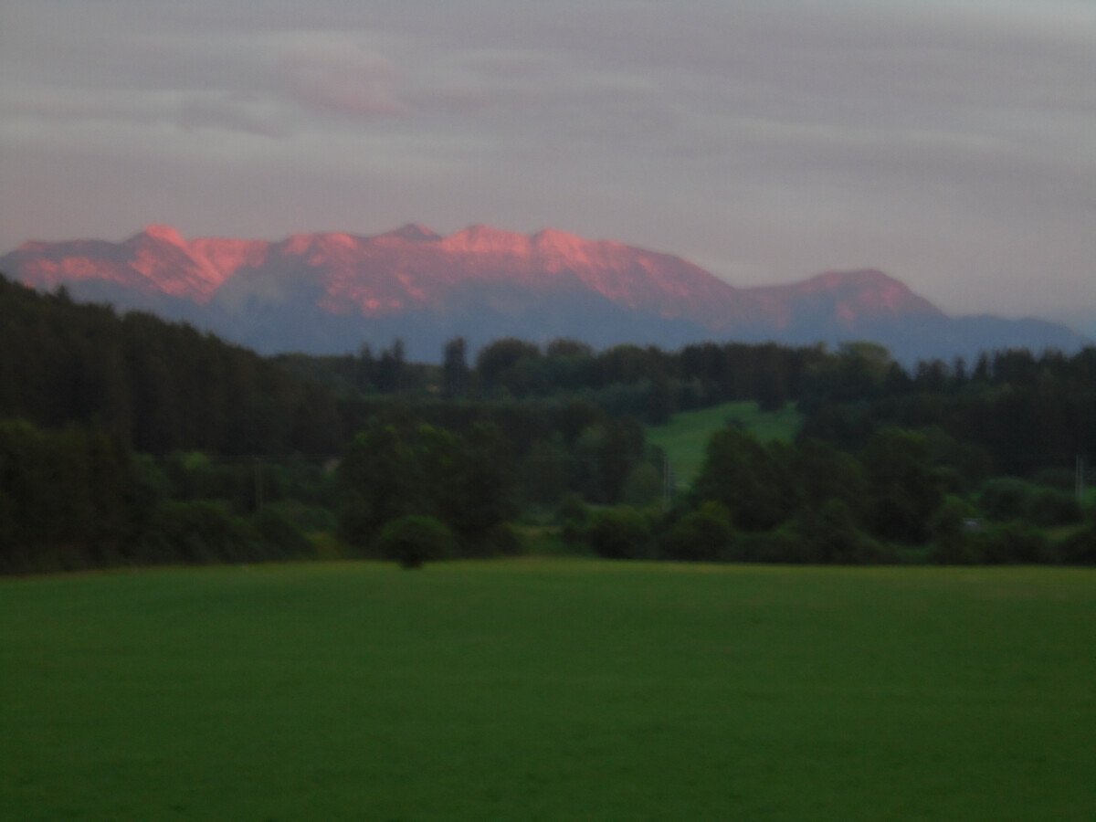 1628540261_DSC00641