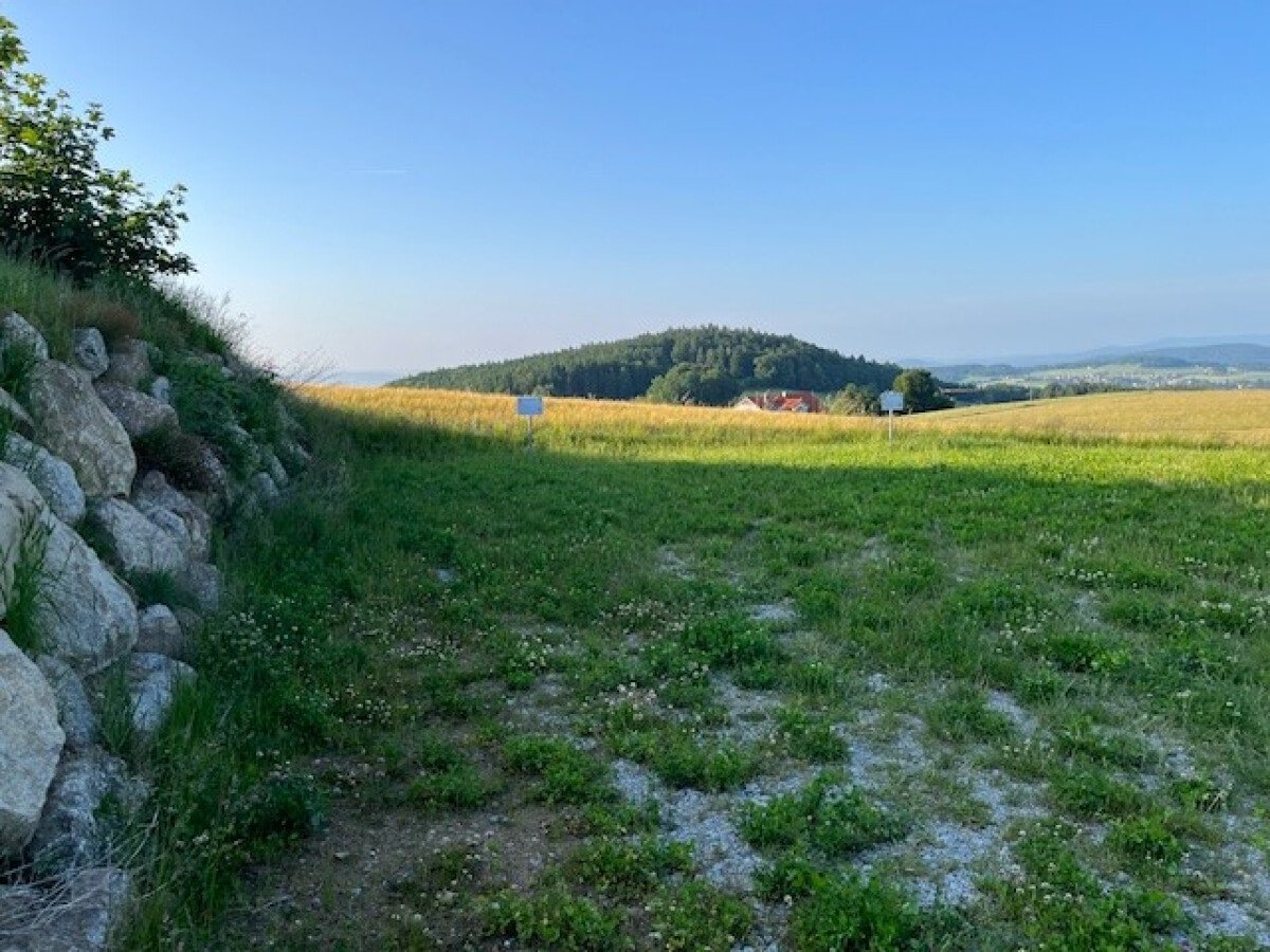 Stellplätze und Stützmauer.jpg
