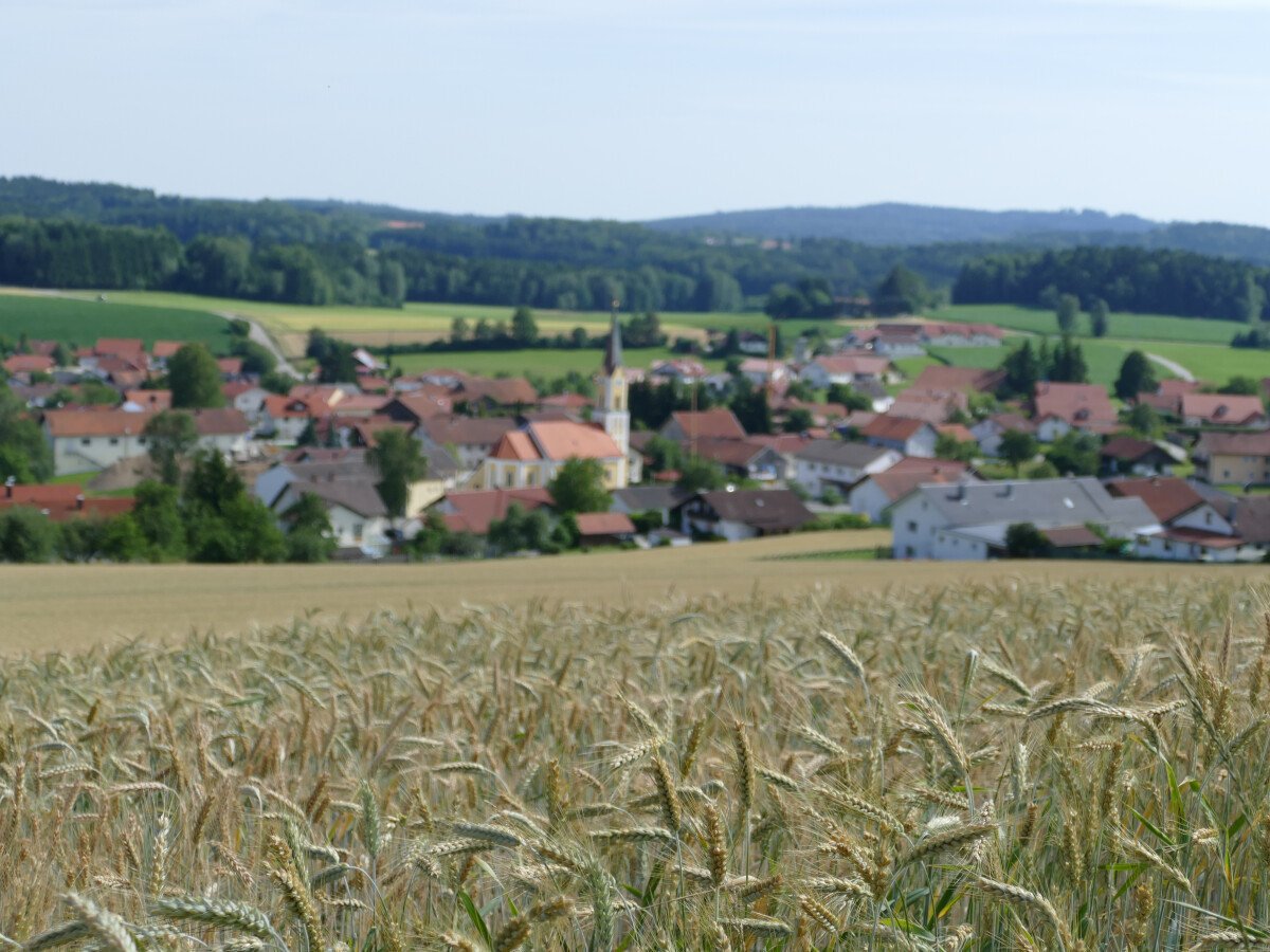 Sommer 2017 09-07-2017 (50) Kammerlsperg Blick auf Zinzenzell.JPG