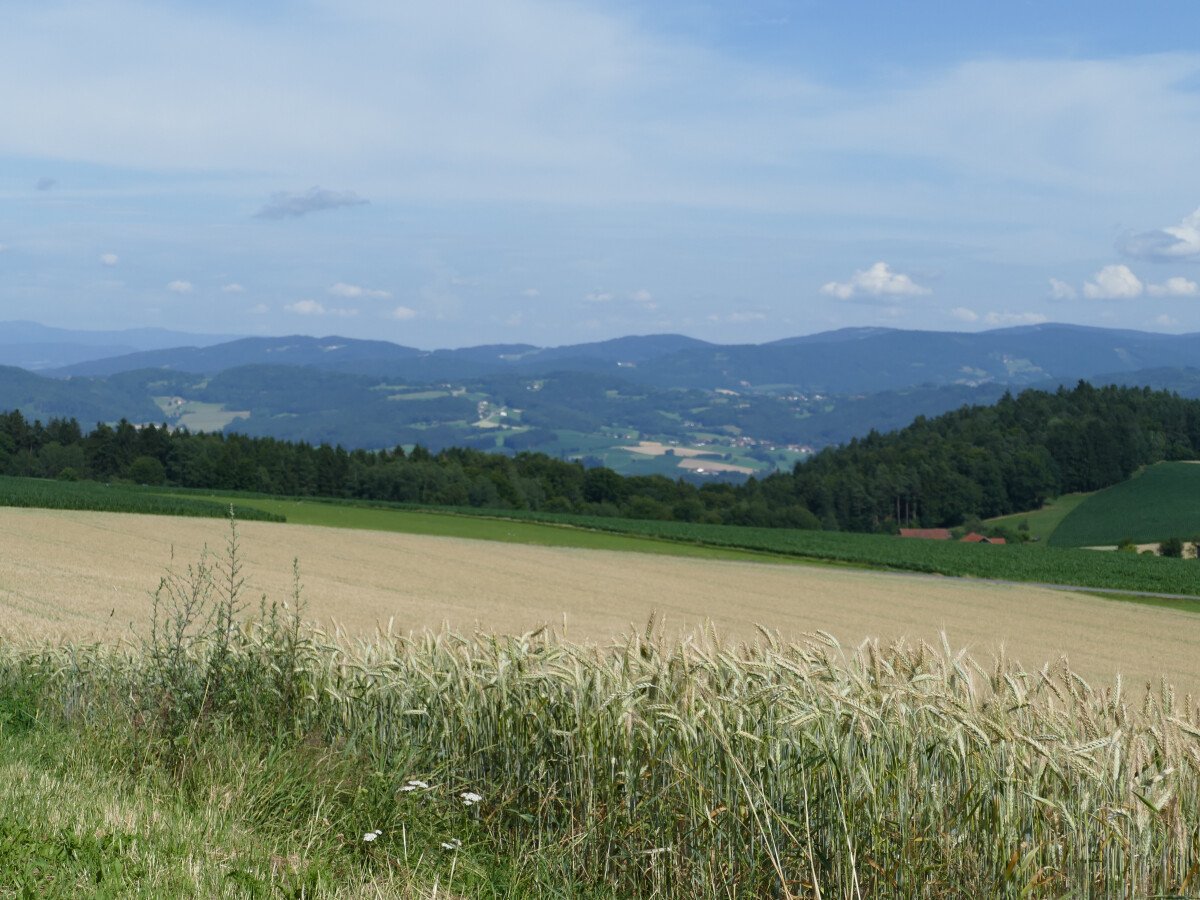 Sommer 2017 09-07-2017 (54) Kammerlsperg.JPG