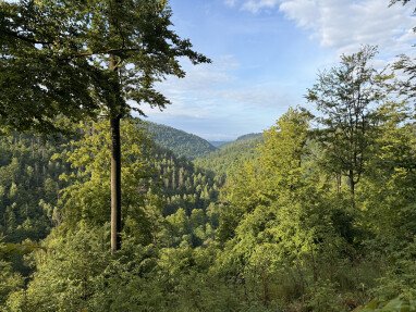 Kleiner Spaziergang (900m vom Stellplatz).