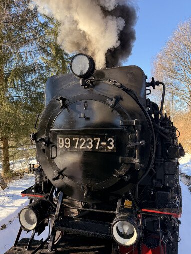 Der nächste Bahnhof ist 6m entfernt. Von dort geht es auf den Brocken oder nach Wernigerode.