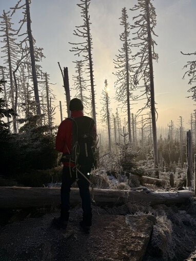 Bis zum Nationalpark sind es 20min mit dem Auto..
