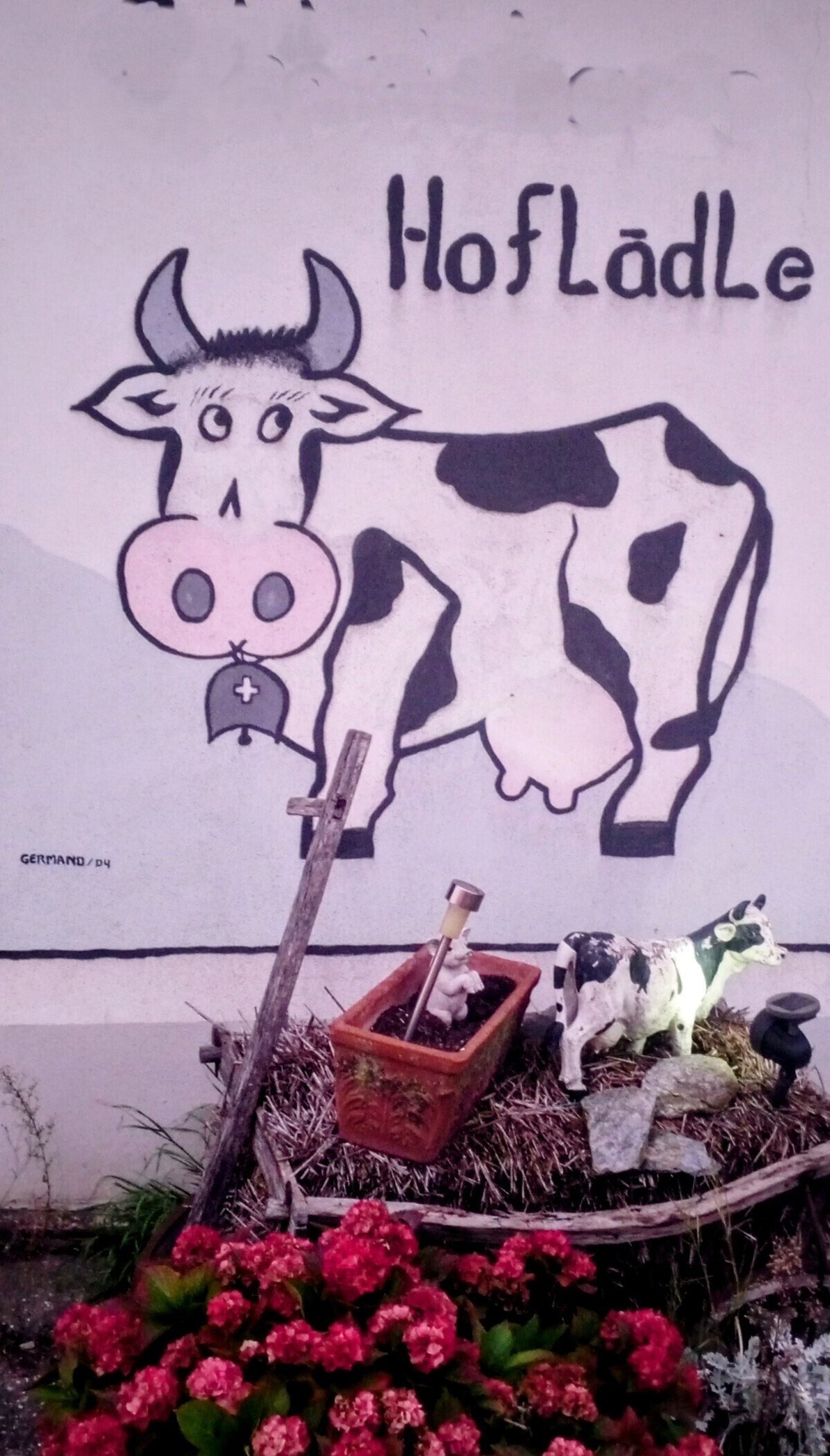 IMG_20251011_190449_5582-2061995314-large