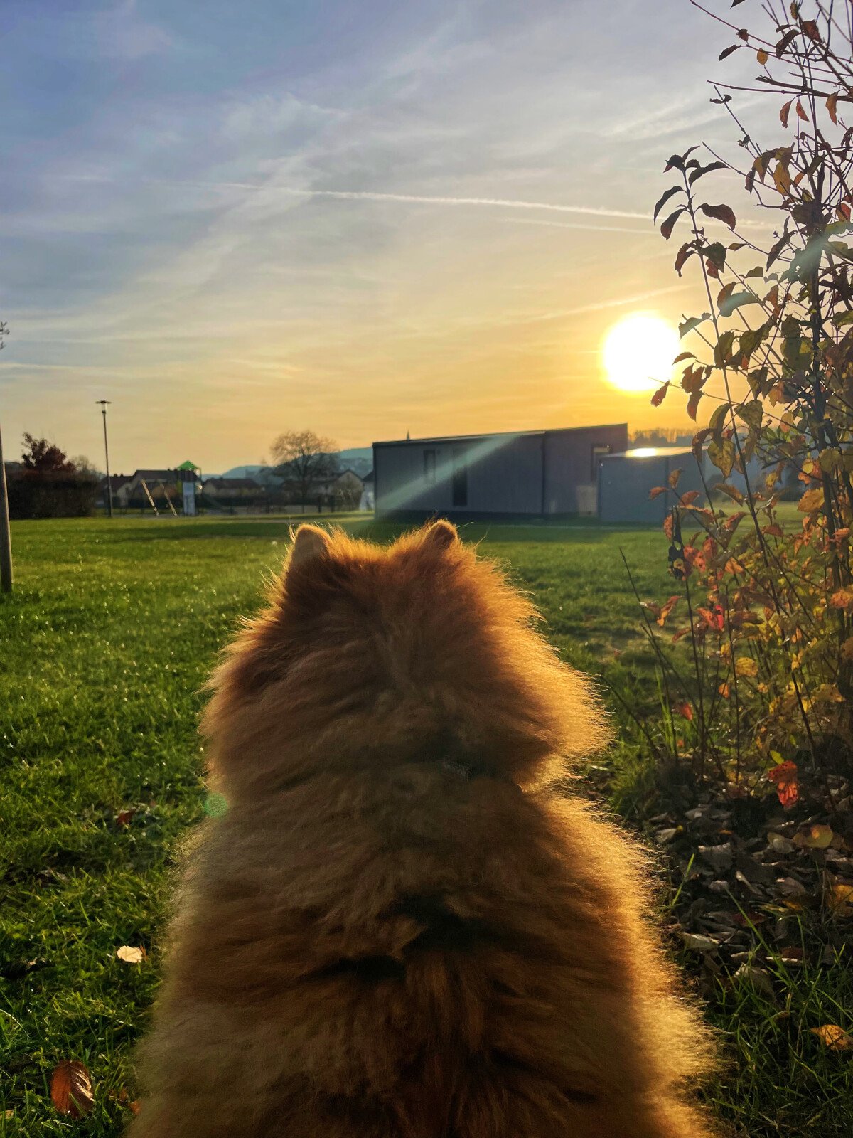 Campingpark Nabburg Hunde willkommen