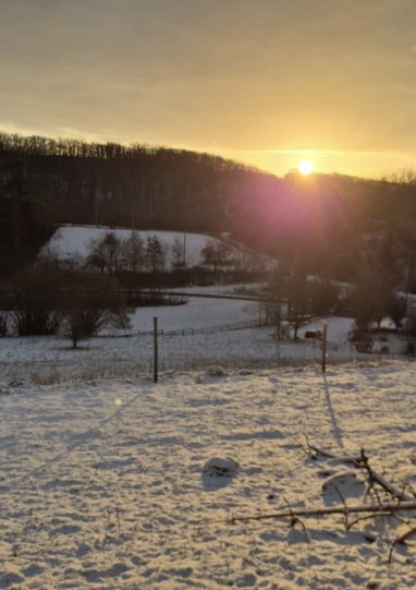 Wintersonne zum Jahreswechsel