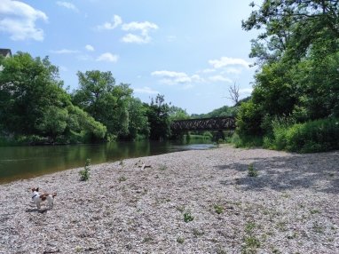 Donau bei Rechtenstein 