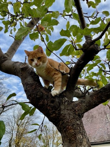 Unser Monty ist immer dabei und freut sich auf neue Gäste