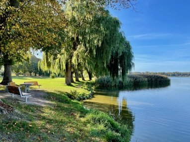 Am alten Badestrand vom Großen Wariner See