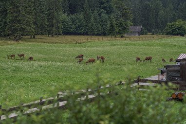 Blick auf die angrenzenden Wiesen im Sommer
